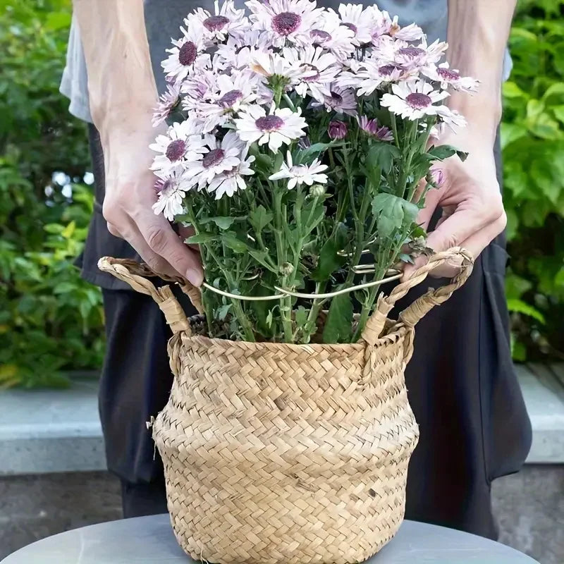 Large Hanging Plant Hook Stand For Indoor & Outdoor Pots