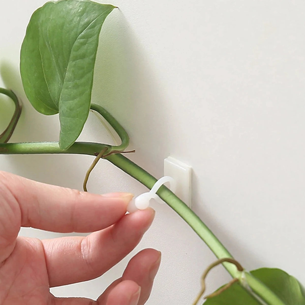 Self-Adhesive Plant Climbing Wall Clips Set of 10
